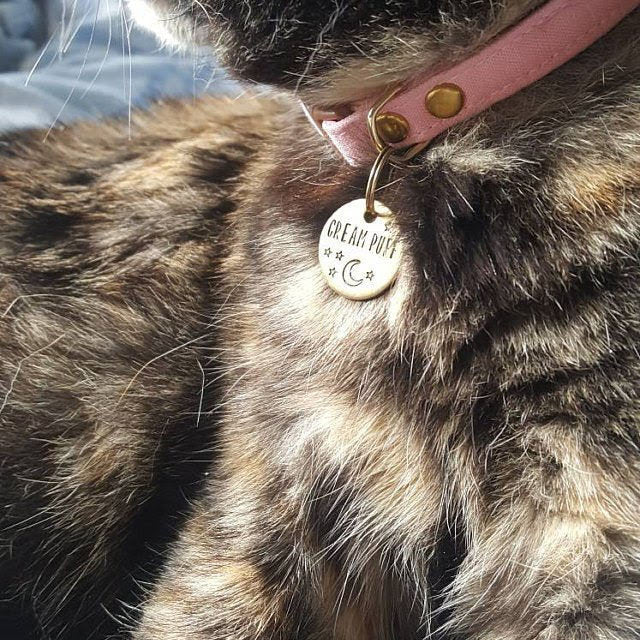 Personalized pet id tag - Moon & stars