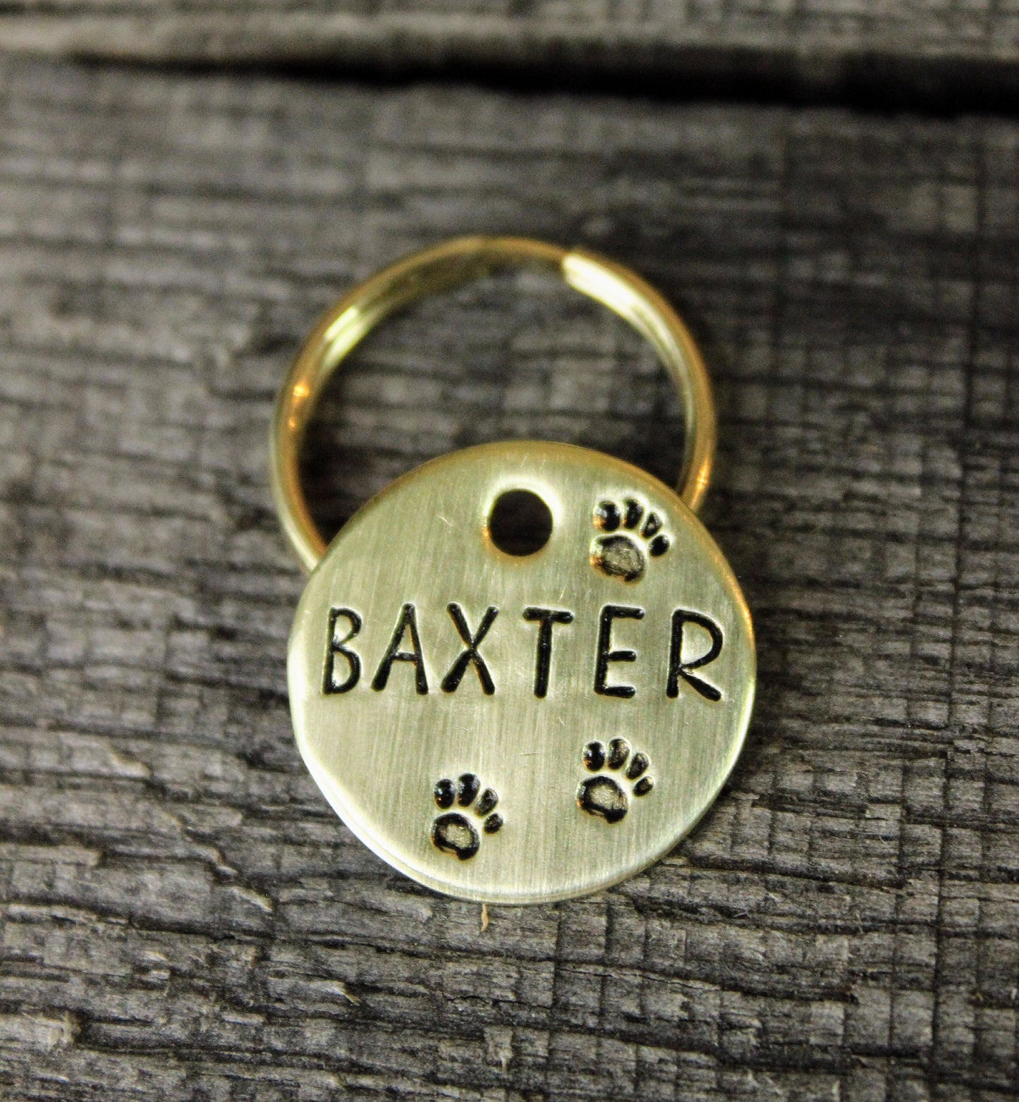 Personalized cat id tag