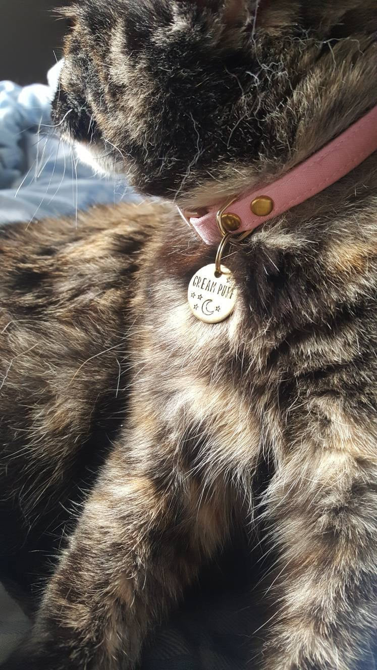 Personalized cat id tag